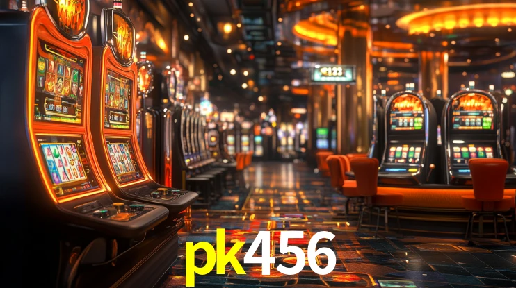 pk456 App Interface